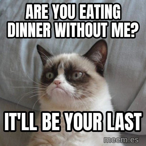 Grumpy cat good meme: are you eating dinner without me? / it'll be your last