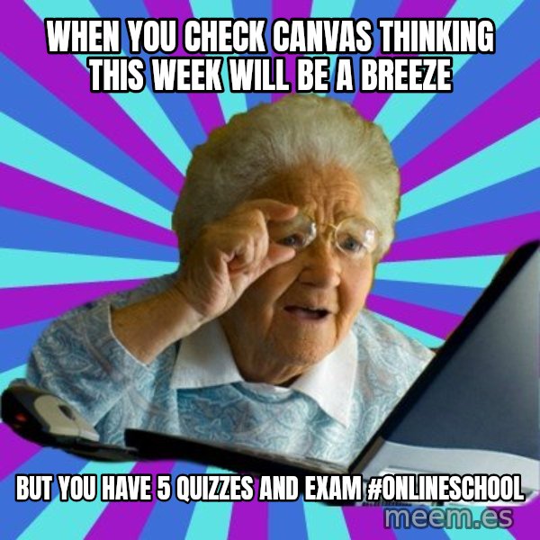 old lady meme: when you check canvas thinking this week will be a breeze / but you have 5 quizzes and exam #onlineschool