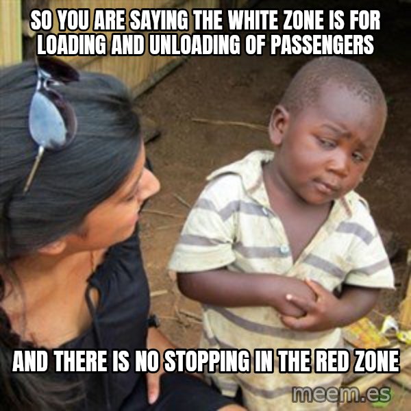 Skeptical 3rd World Kid meme: So you are saying the white zone is for loading and unloading of passengers / And there is no stopping in the red zone