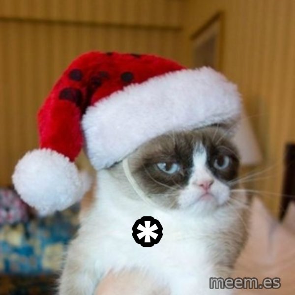 Grumpy Cat Santa Hat meme: *