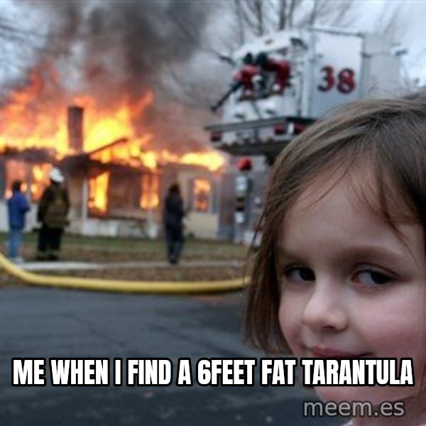 Disaster Girl meme: me when i find a 6feet fat tarantula