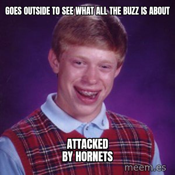 Bad Luck Brian meme: goes outside to see what all the buzz is about / attacked by hornets