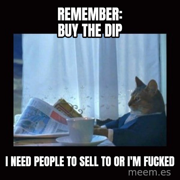 i should buy a boat cat meme: remember: buy the dip / i need people to sell to or i'm fucked