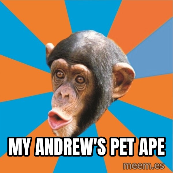 Stupid Monkey meme: My andrew's pet ape