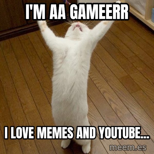 praise the lord cat meme: I'M AA  GAMEERR / i love memes and youtube...