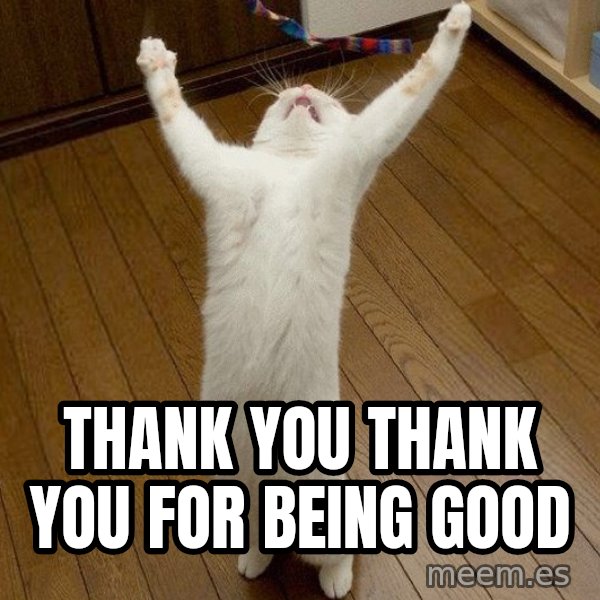 praise the lord cat meme: Thank you Thank you for being good