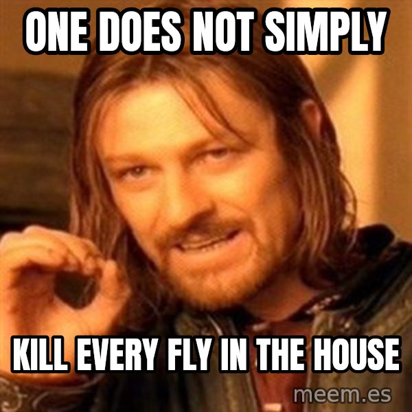 One Does Not Simply meme: One does not simply / Kill every fly in the house