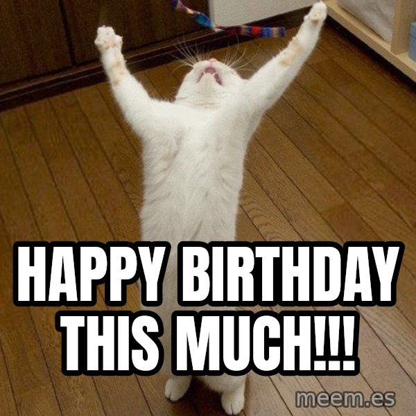 praise the lord cat meme: Happy birthday this much!!!