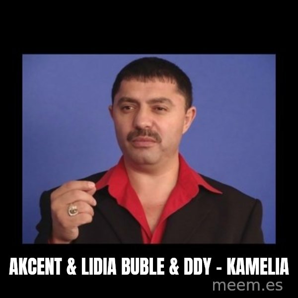 Manelistul Nicolae Guta meme: AKCENT & LIDIA BUBLE & DDY - Kamelia