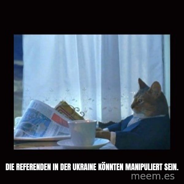 i should buy a boat cat meme: Die Referenden in der Ukraine könnten manipuliert sein.