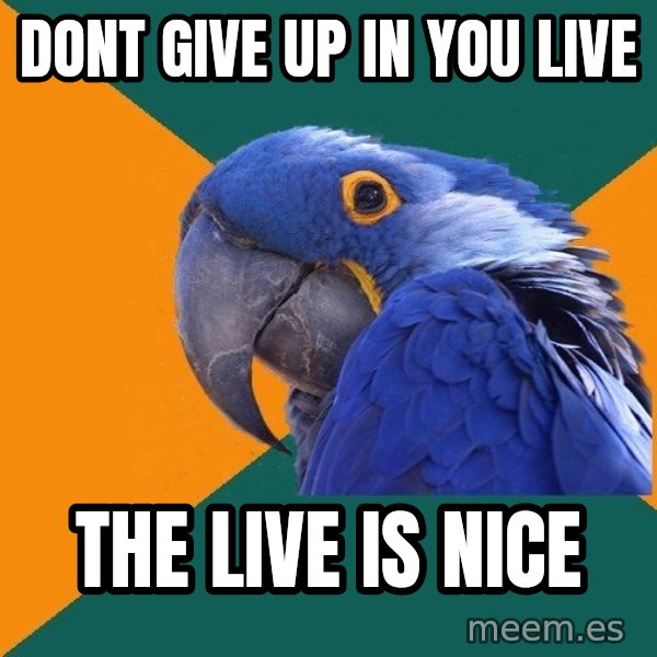Paranoid Parrot meme: Dont give up in you live / the live is nice