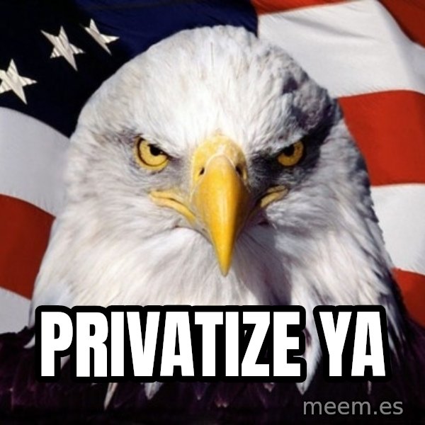 American Pride Eagle meme: privatize ya