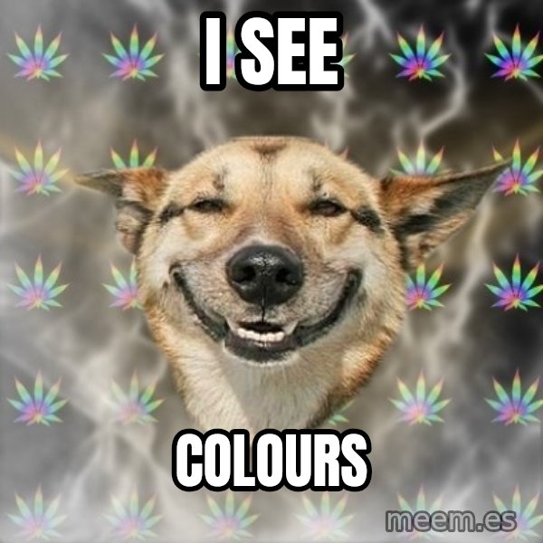Stoner Dog meme: i see / colours