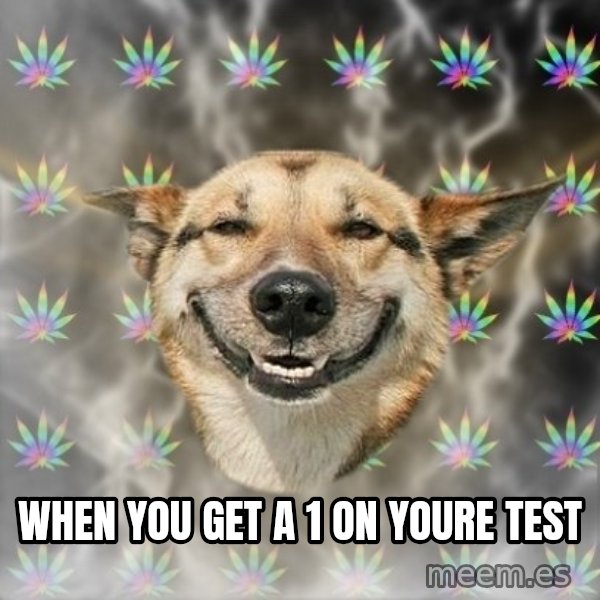 Stoner Dog meme: When you get a 1 on youre test