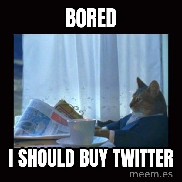 i should buy a boat cat meme: bored / I should buy twitter
