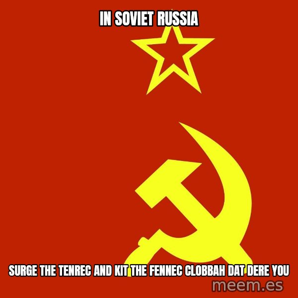 In Soviet Russia meme: In Soviet Russia / Surge the Tenrec and Kit the Fennec clobbah dat dere you