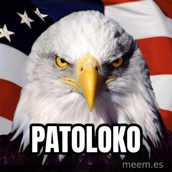 American Pride Eagle meme: PATOLOKO