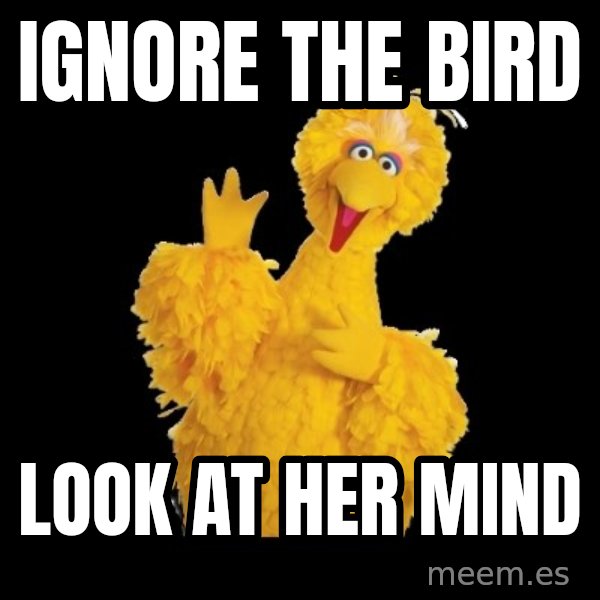 BIG BIRD meme meme: Ignore the bird / Look at her mind