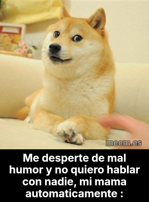 so doge meme: Me desperte de mal humor y no quiero hablar  con nadie, mi mama automaticamente :