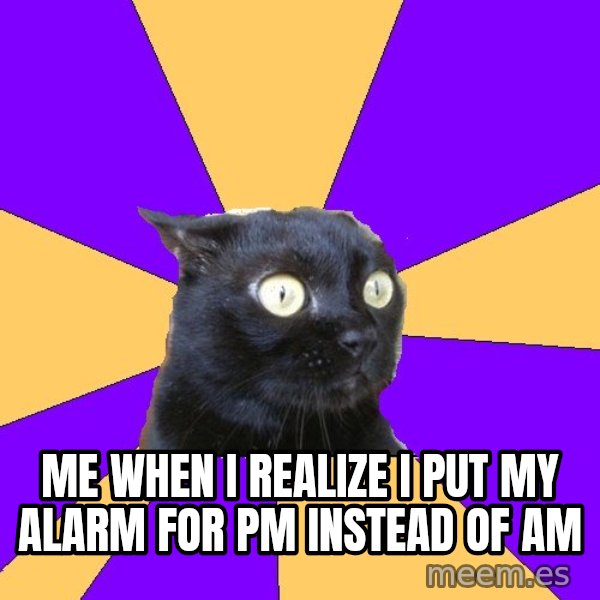 Anxiety Cat meme: me when i realize i put my alarm for PM instead of AM