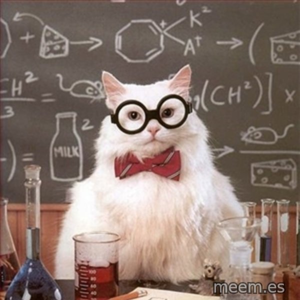 Science Cat meme template