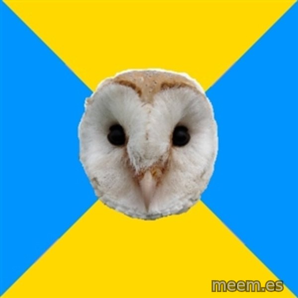 Bipolar Owl meme template