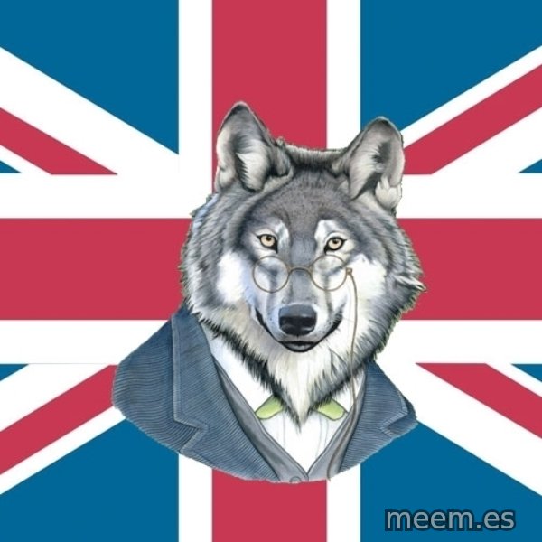 Sir Courage Wolf Esquire meme template
