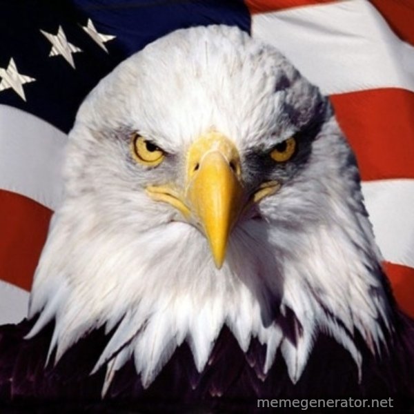 American Pride Eagle meme template