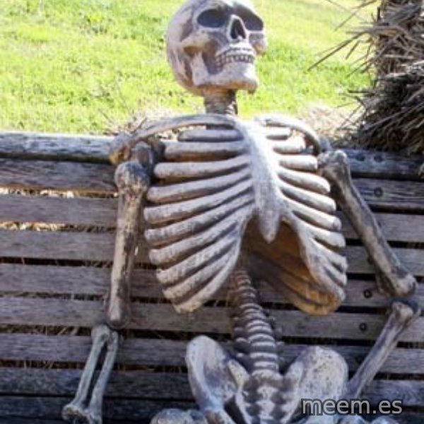 Waiting Skeleton meme template