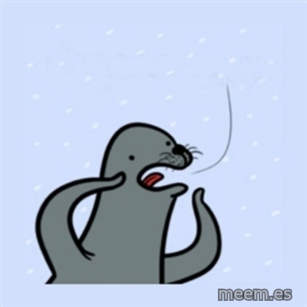 gay seal meme template