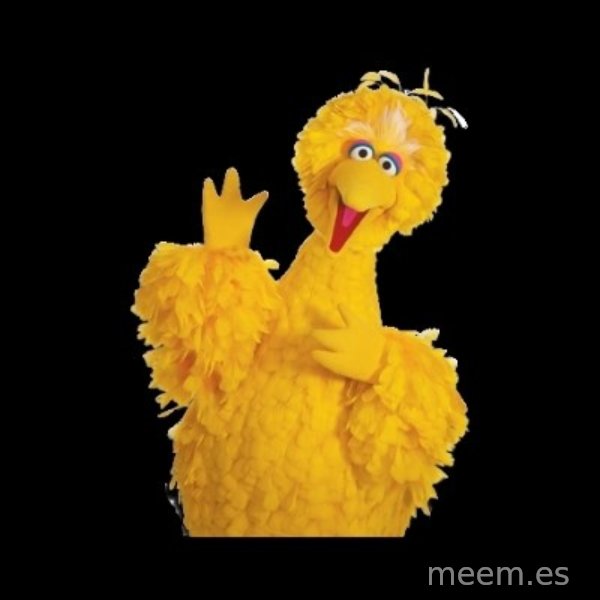 BIG BIRD meme meme template